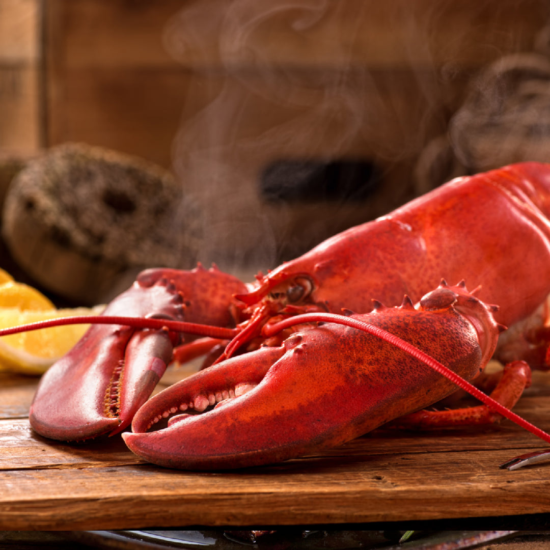 Live Maine lobster being selected at a seafood market tank