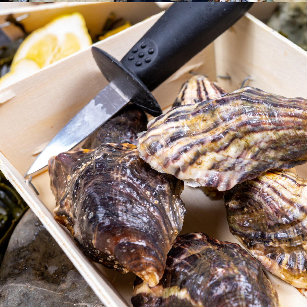 Fresh Miyagi oysters served on the half shell on a bed of crushed ice with lemon wedges
