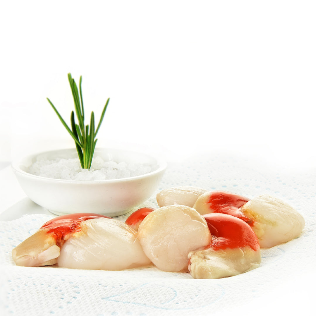 Fresh live scallops in the shell next to pan-seared cooked scallops on a plate