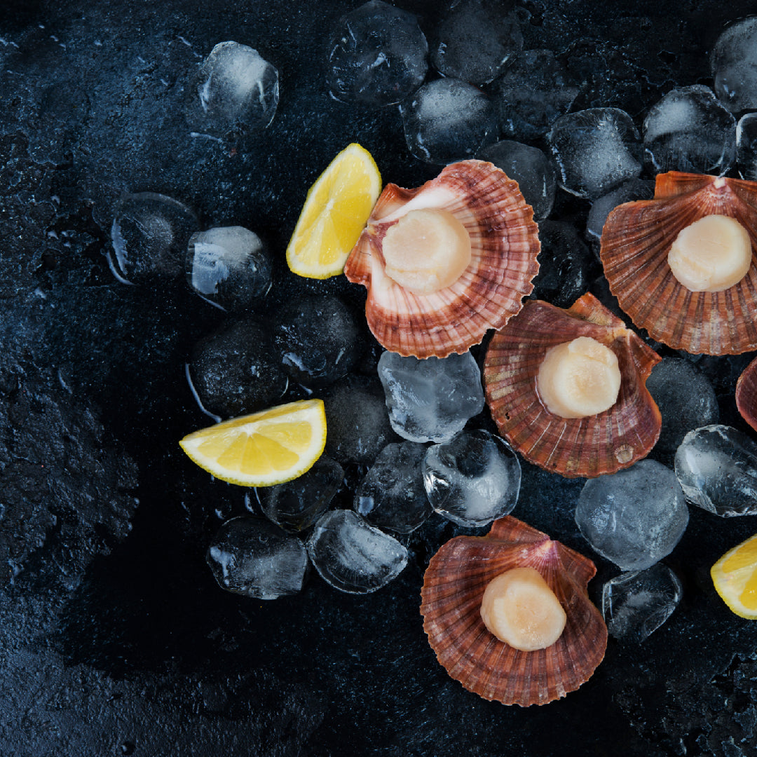 Assortment of live scallop dishes including pan-seared scallops with lemon butter, grilled scallops with mango salsa, and scallop ceviche on a rustic wooden table