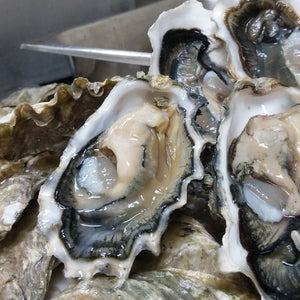 Oyster Liquor: What is it and How to Use it