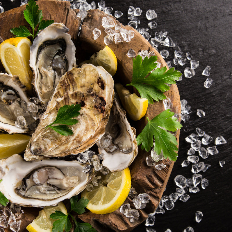 The Anatomy of an Oyster: Understanding the Inner Workings of this Bivalve