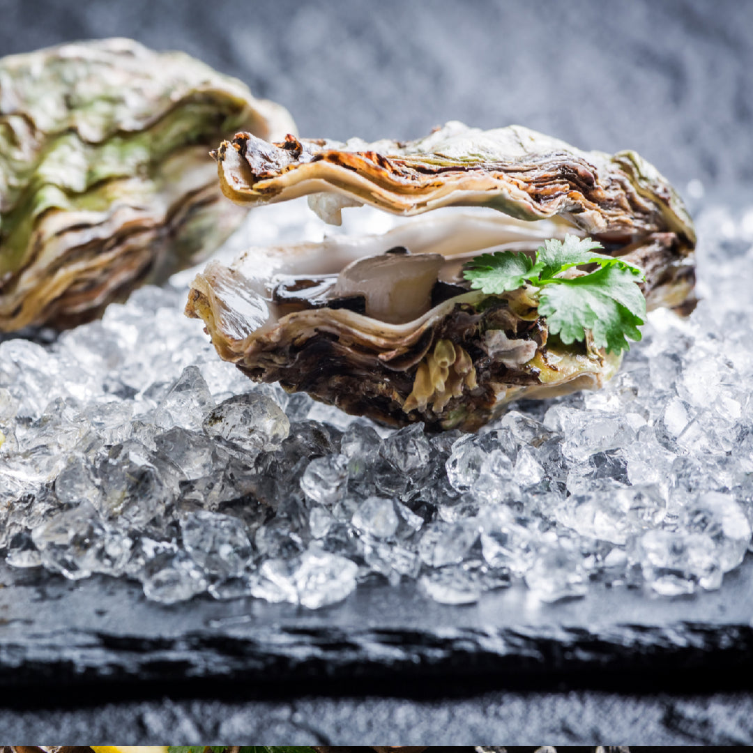Assorted oysters on the half shell from different Pacific and Atlantic growing regions — showing the variation in shell shape, size, and liquor color that reflects the different flavor profiles of briny, sweet, creamy, and earthy oysters