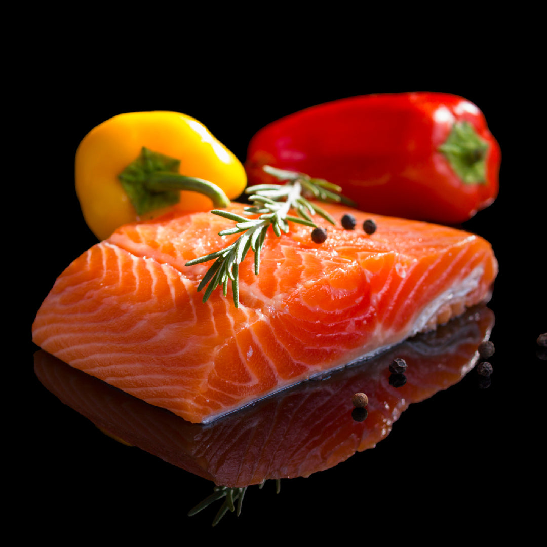 Fresh Ora King Salmon fillet showing vibrant orange color and rich marbling on a white surface