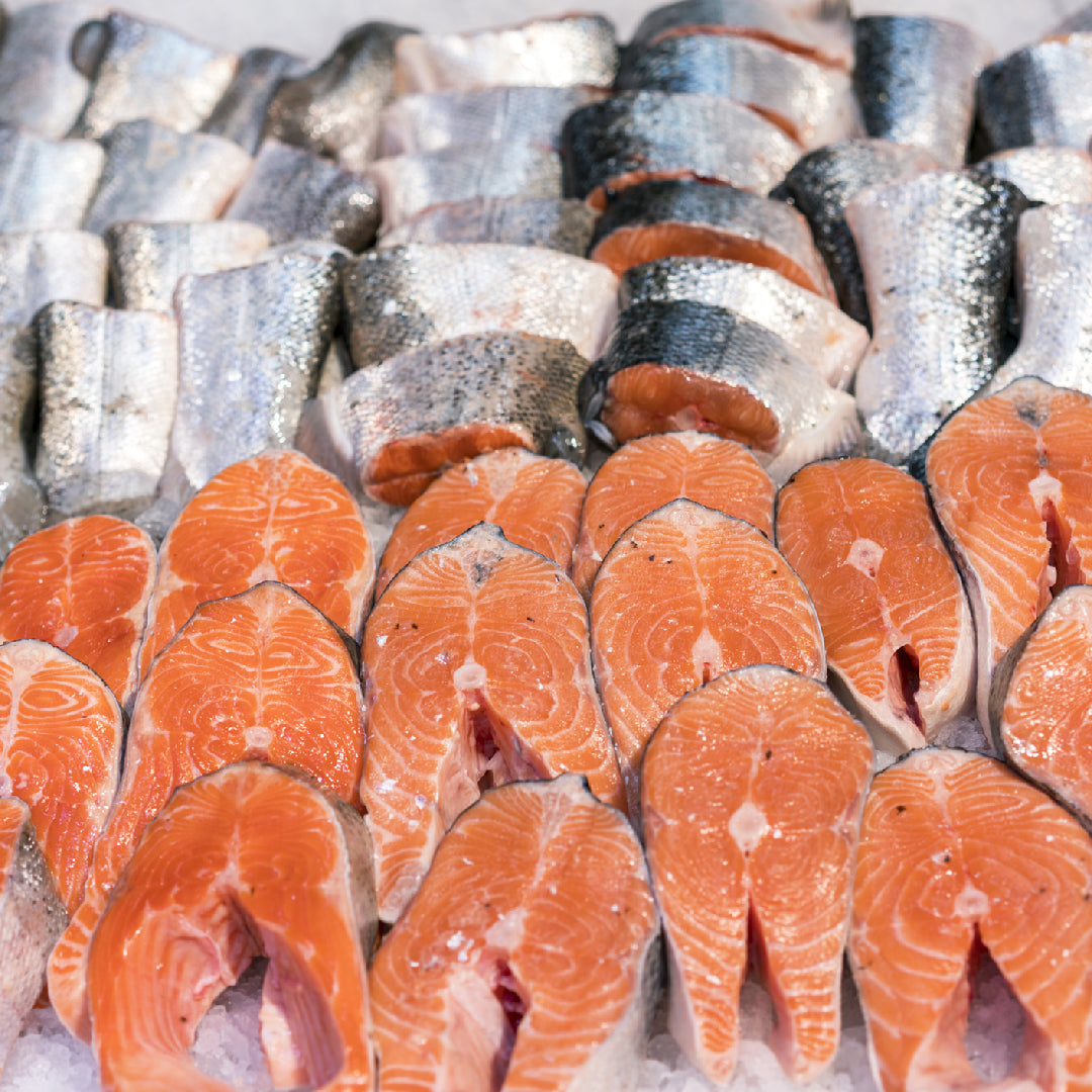 Side-by-side comparison of Ora King Salmon and wild King Salmon fillets showing their vibrant orange-red color and marbled texture