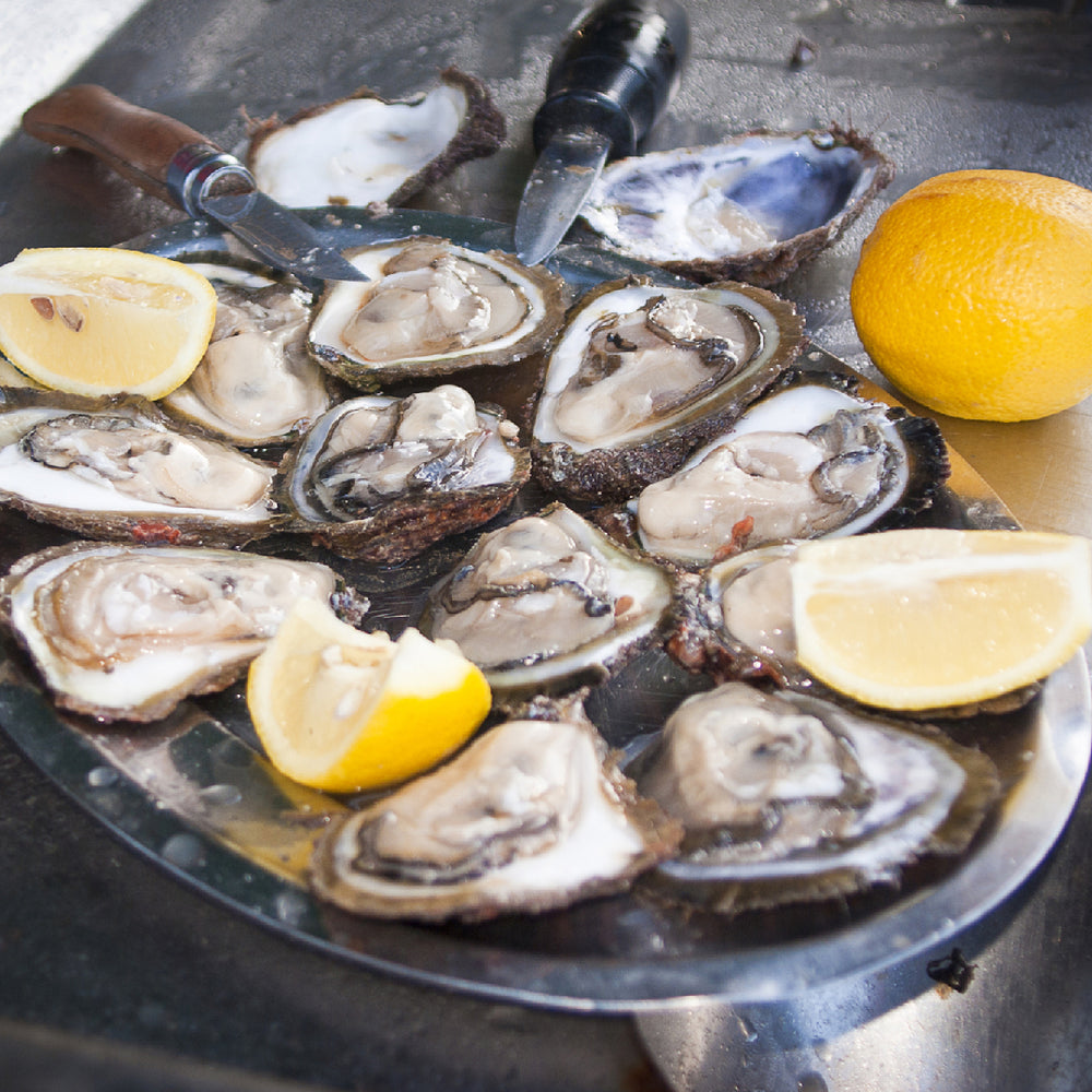 Oyster Pearls What Are They and How Are They Made?