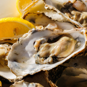 Oyster Farming and Its Impact on the Economy: A Comprehensive Guide