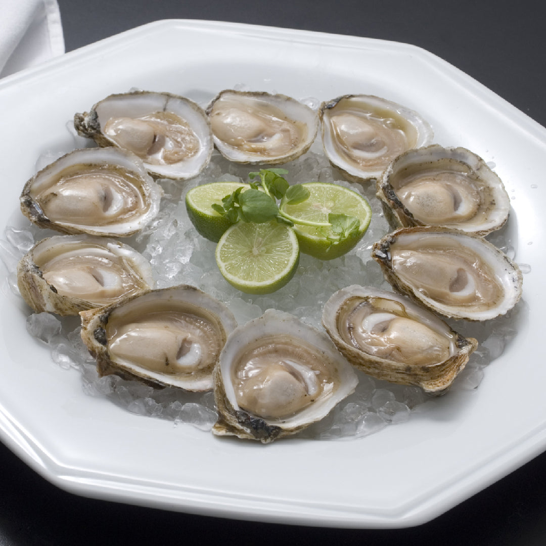 A lustrous oyster pearl resting inside an open oyster shell on a dark background
