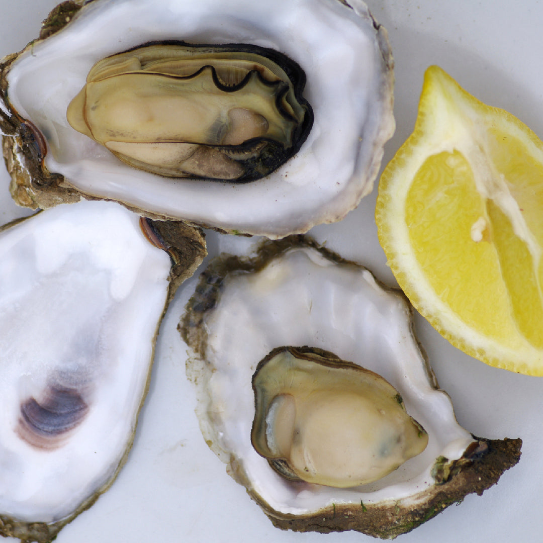The Best Oyster Bars in the World: A Guide to Satisfying Your Seafood Cravings