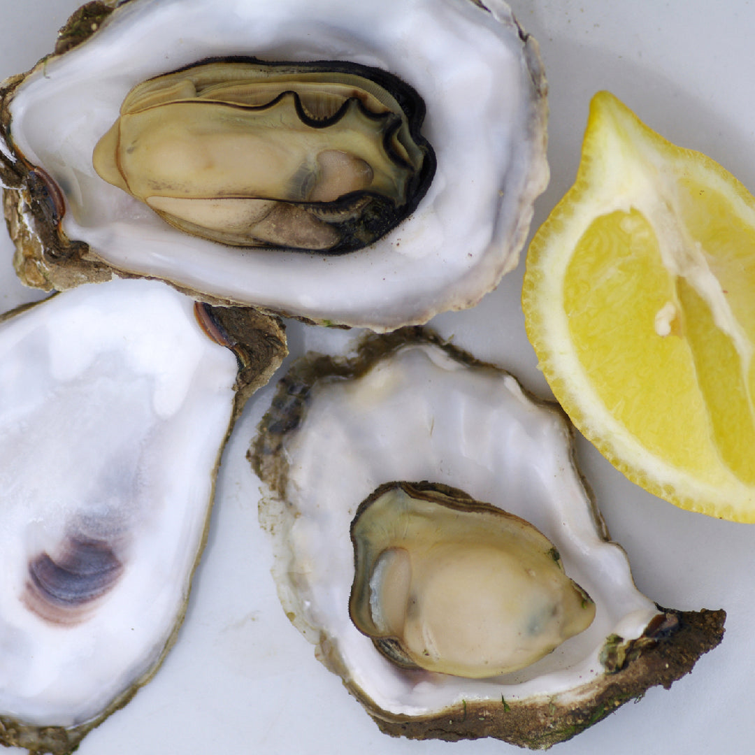 A beautifully arranged platter of freshly shucked oysters on ice at a world-class oyster bar