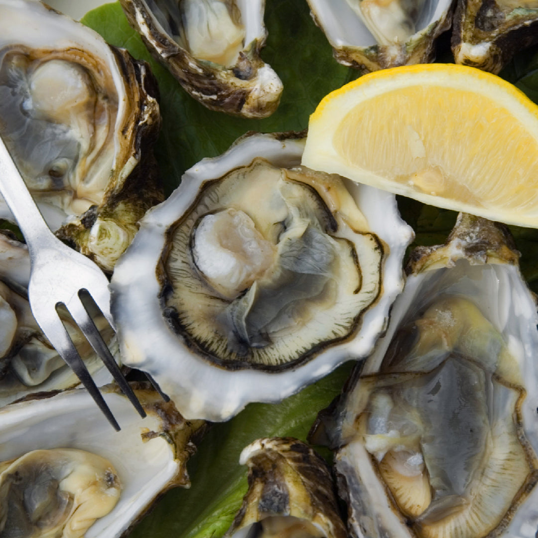 A variety of freshly shucked oysters on ice, showcasing different shapes and sizes to debunk the myth that all oysters taste the same