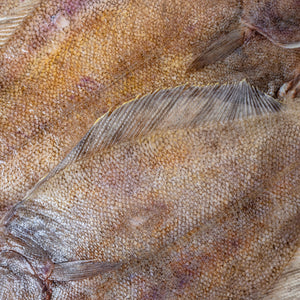 How to Choose the Best Petrale Sole Fillets at the Market
