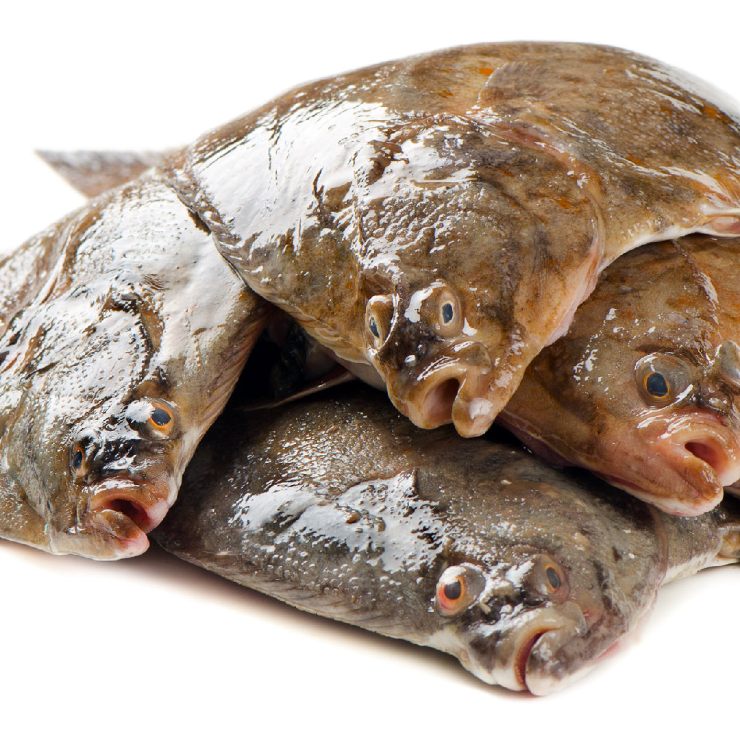 Fresh Petrale Sole fillet on a plate surrounded by omega-3-rich ingredients like avocado, lemon, and fresh herbs, highlighting its skin and hair health benefits