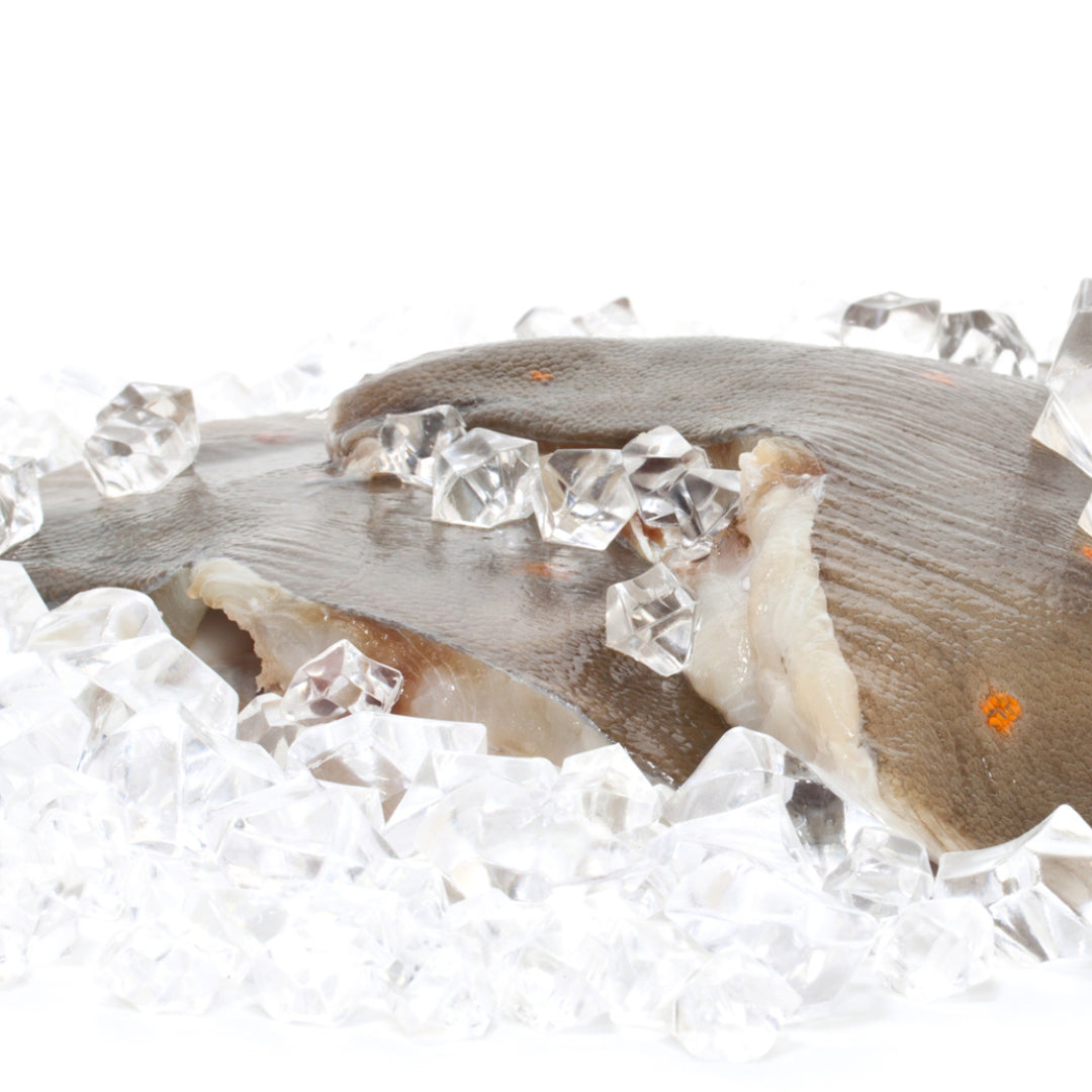 Fresh petrale sole fillets on a white plate with lemon wedges and herbs