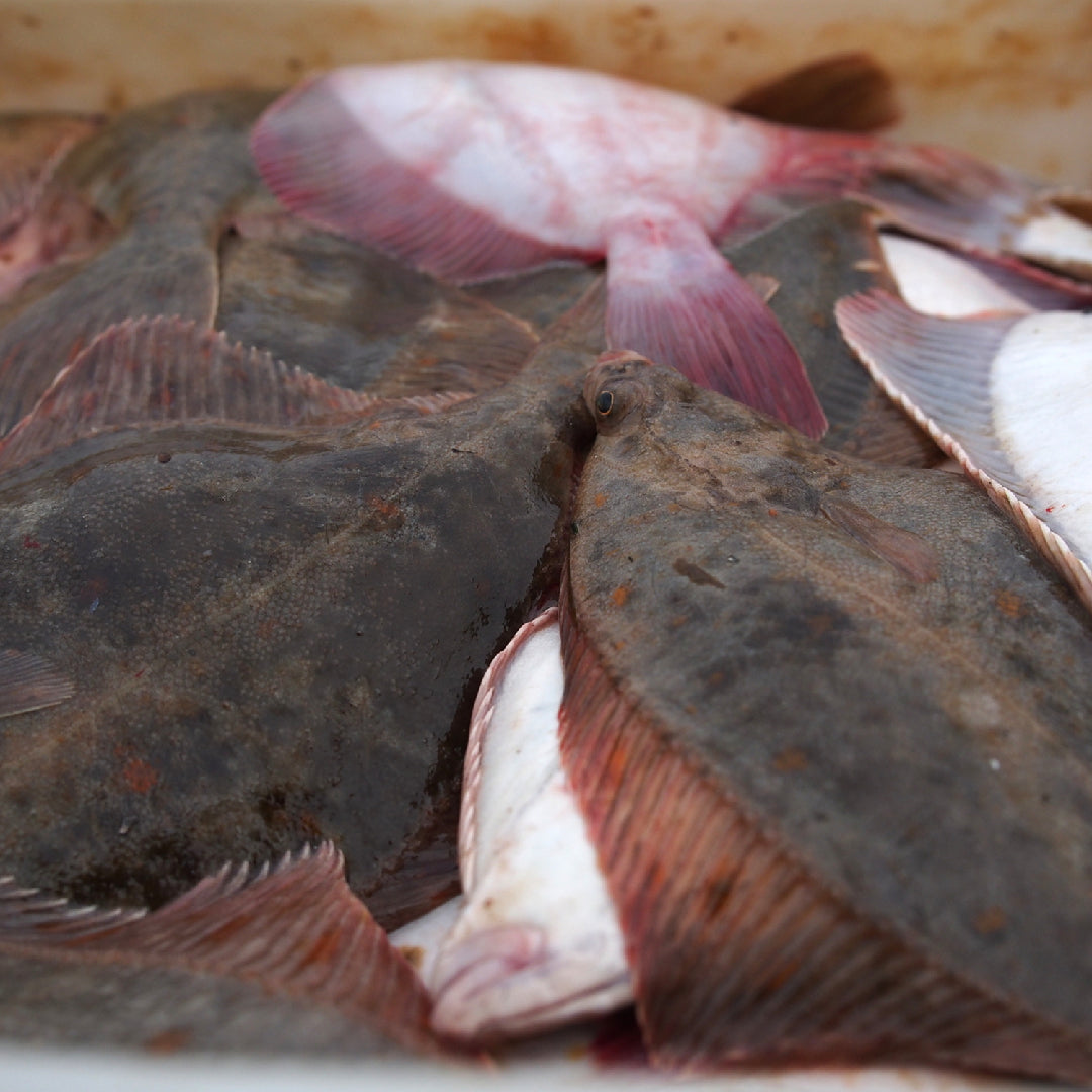 Petrale sole fillet being pan-seared in a skillet with lemon and fresh herbs