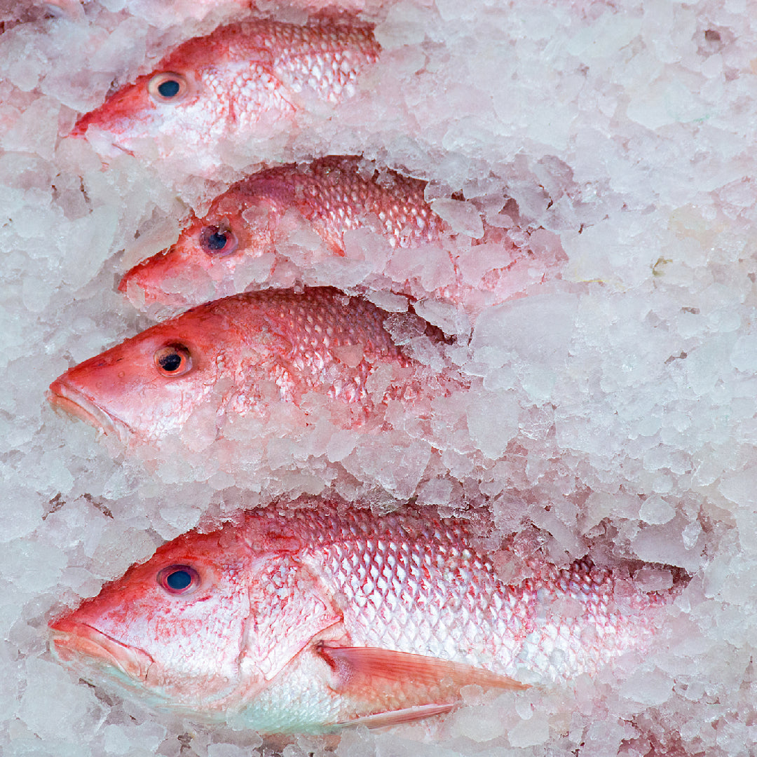 Fresh sustainable seafood including salmon and shellfish displayed on ice at a fish market