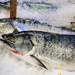 The Ultimate Guide to Buying and Cooking Sustainable Salmon