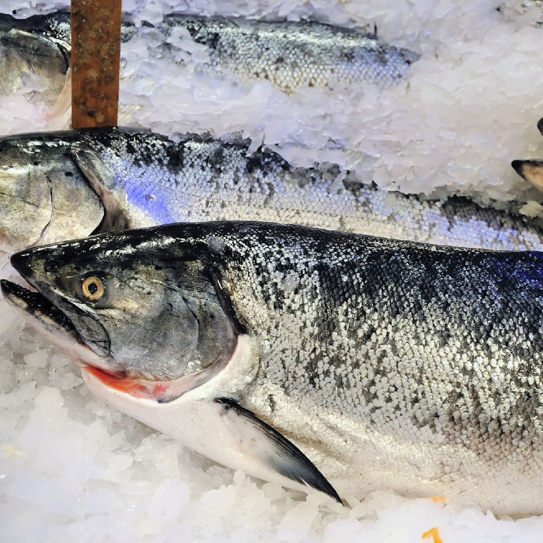 Side-by-side comparison of wild-caught sockeye salmon fillet (deep red) and farmed Atlantic salmon fillet (pale orange-pink) on a wooden board