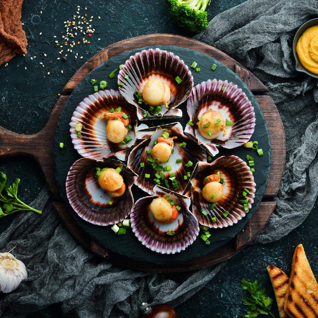 Side-by-side comparison of seared diver scallops and grilled shrimp on a plate