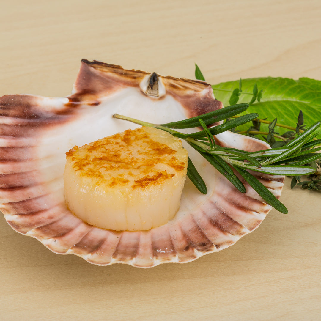 Creamy diver scallop chowder in a white bowl garnished with crispy bacon, lemon zest, and fresh parsley