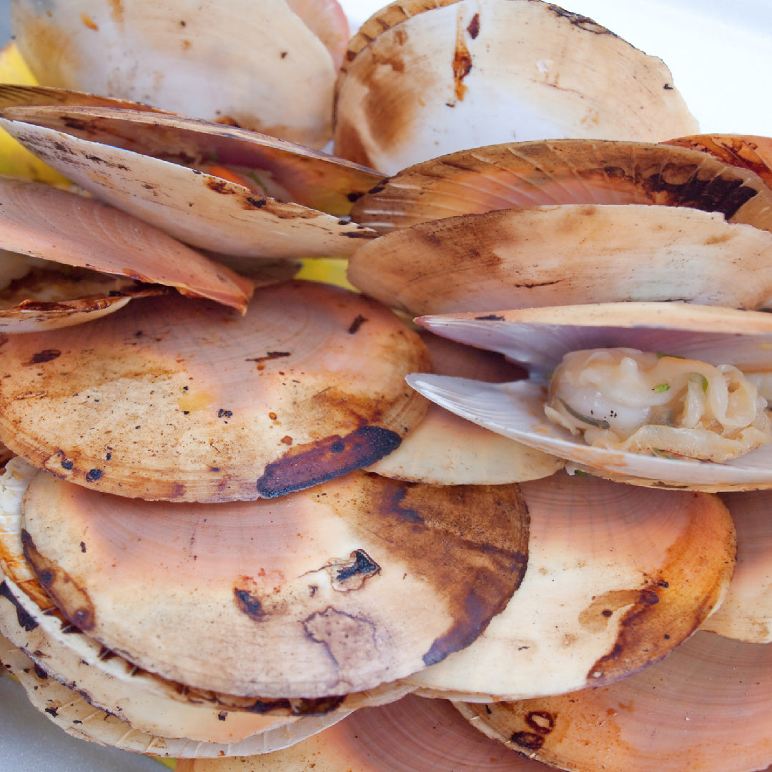 Golden pan-seared diver scallops plated with lemon wedges and fresh parsley on a white dish