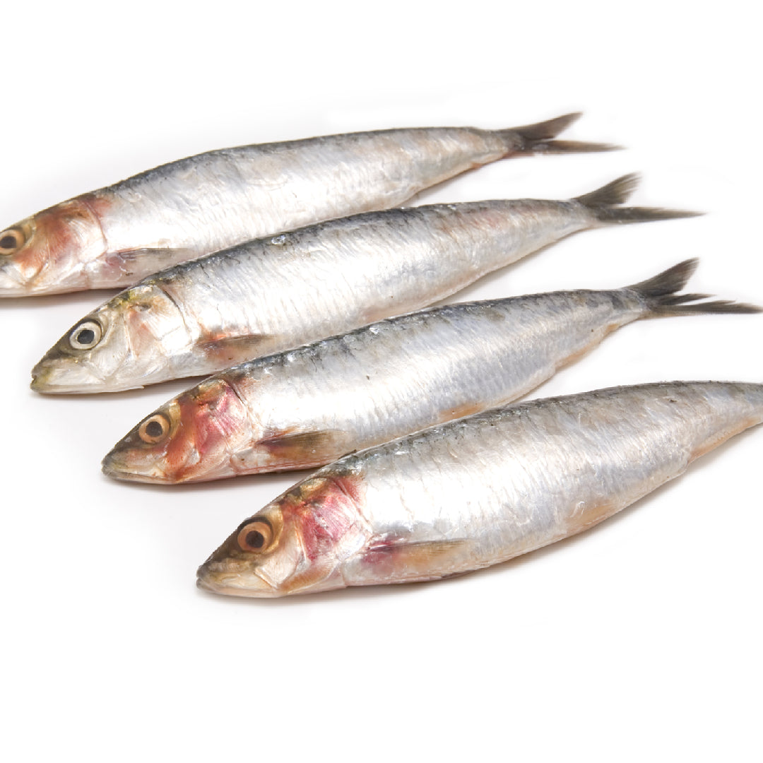 Grilled Portuguese sardines on a rustic plate with olive oil, garlic, lemon slices, and fresh herbs
