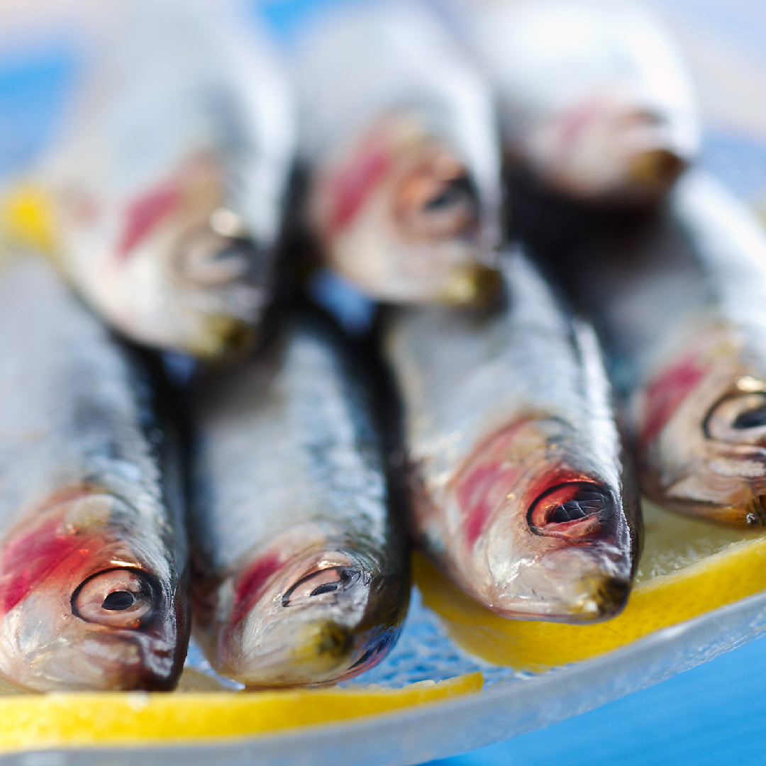 Freshly grilled Portuguese sardines on a plate with crusty bread, lemon wedges, and a side salad