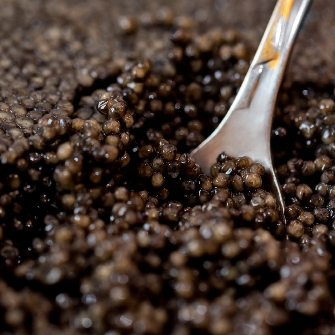 Fresh sturgeon caviar in an open tin on a bed of ice with a mother-of-pearl spoon alongside