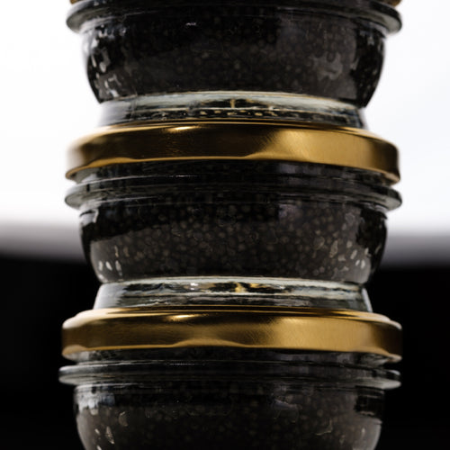 Premium sturgeon caviar pearls in a tin served on crushed ice with mother-of-pearl spoon