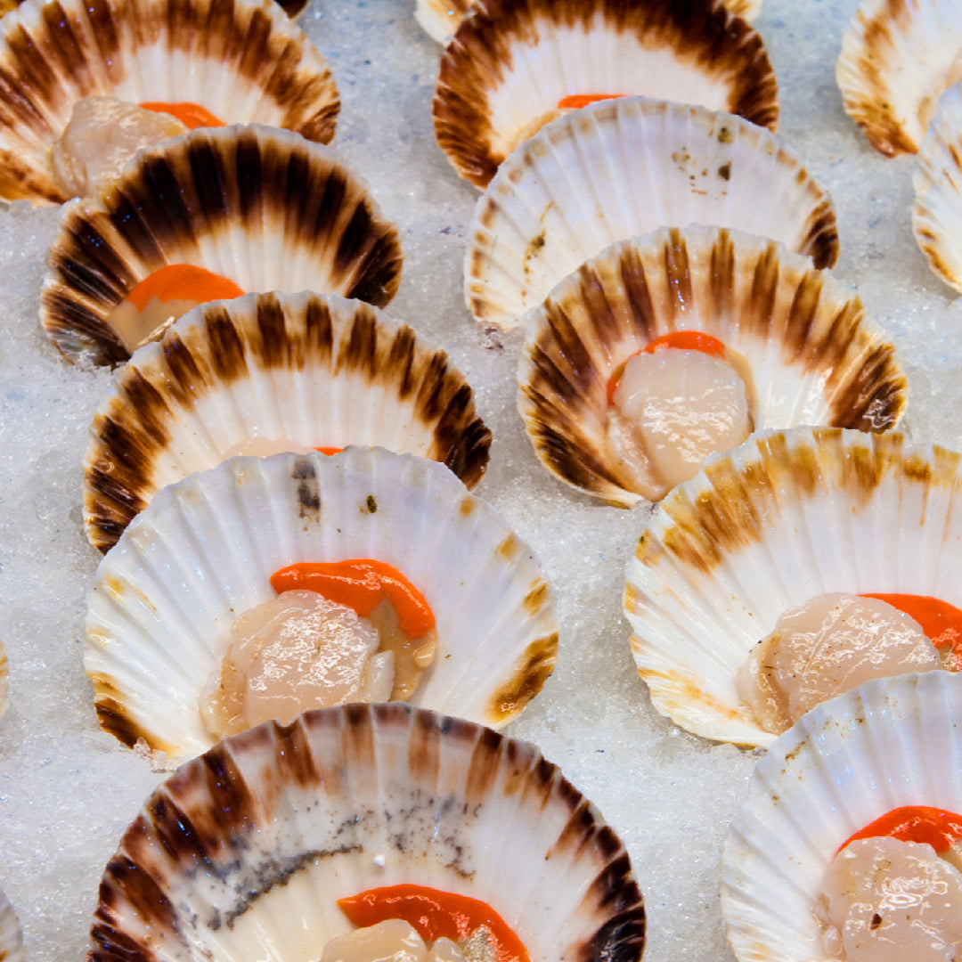 How to Pair Wine with Diver Scallops: A Guide for Foodies