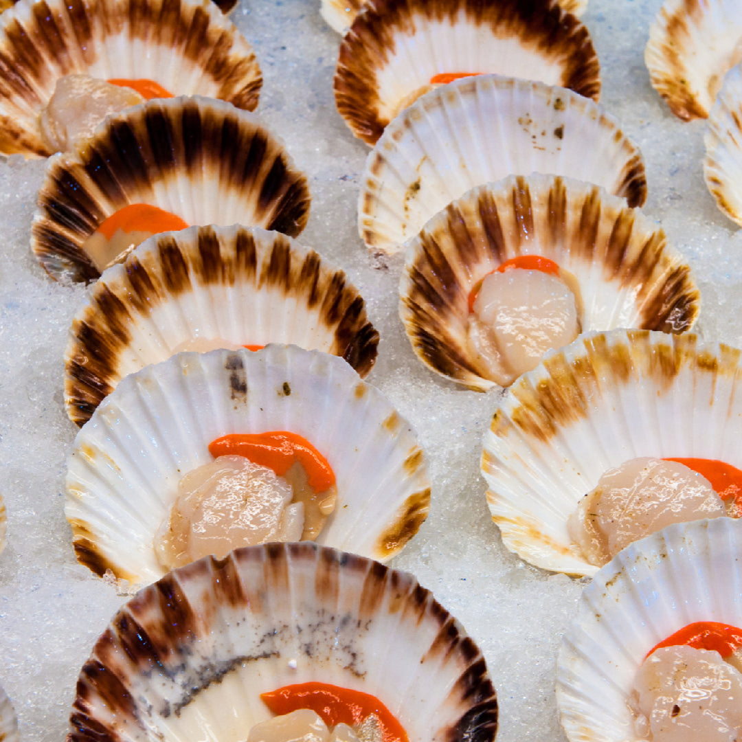 Seared diver scallops plated with lemon butter sauce alongside a glass of white wine on a white tablecloth
