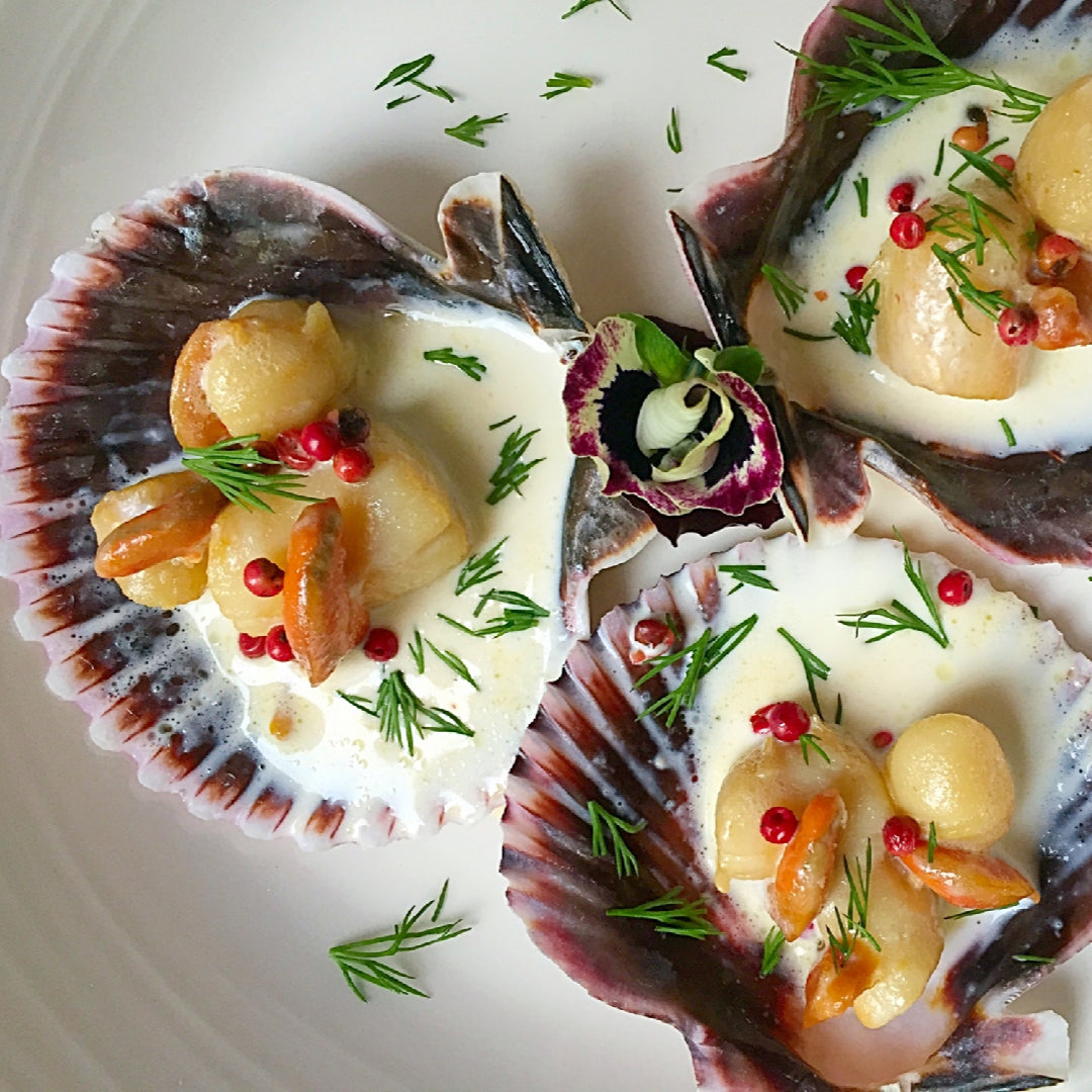 Fresh farm-raised diver scallops in their shells displayed on crushed ice at a seafood market