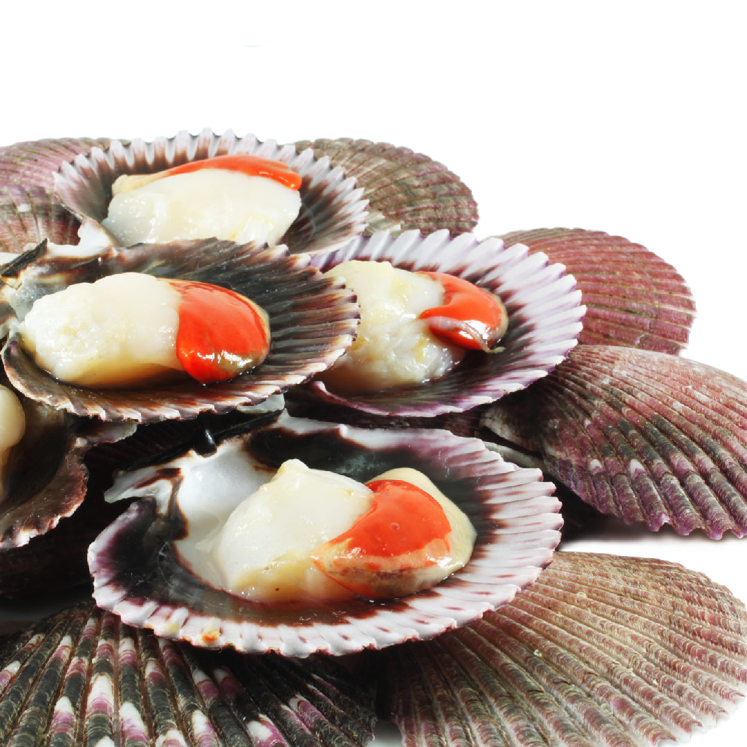 Elegant platter of live scallop dishes including Hokkaido sashimi, seared scallops, and Coquilles Saint-Jacques arranged on a fine dining table