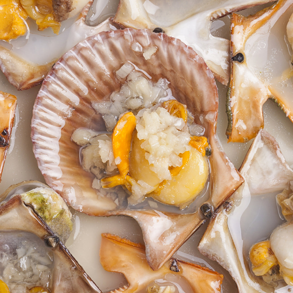 Live Scallops For Sushi – Scallops In Shell Online — Intershell