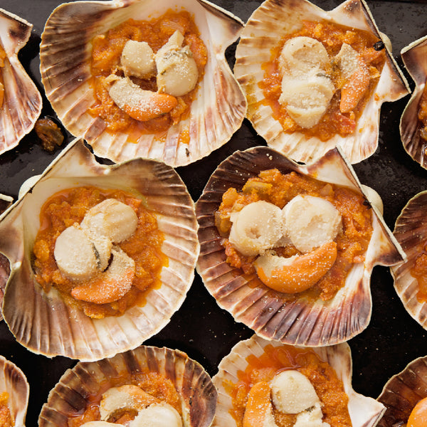 Live Scallops and Sustainability How to Make a Difference