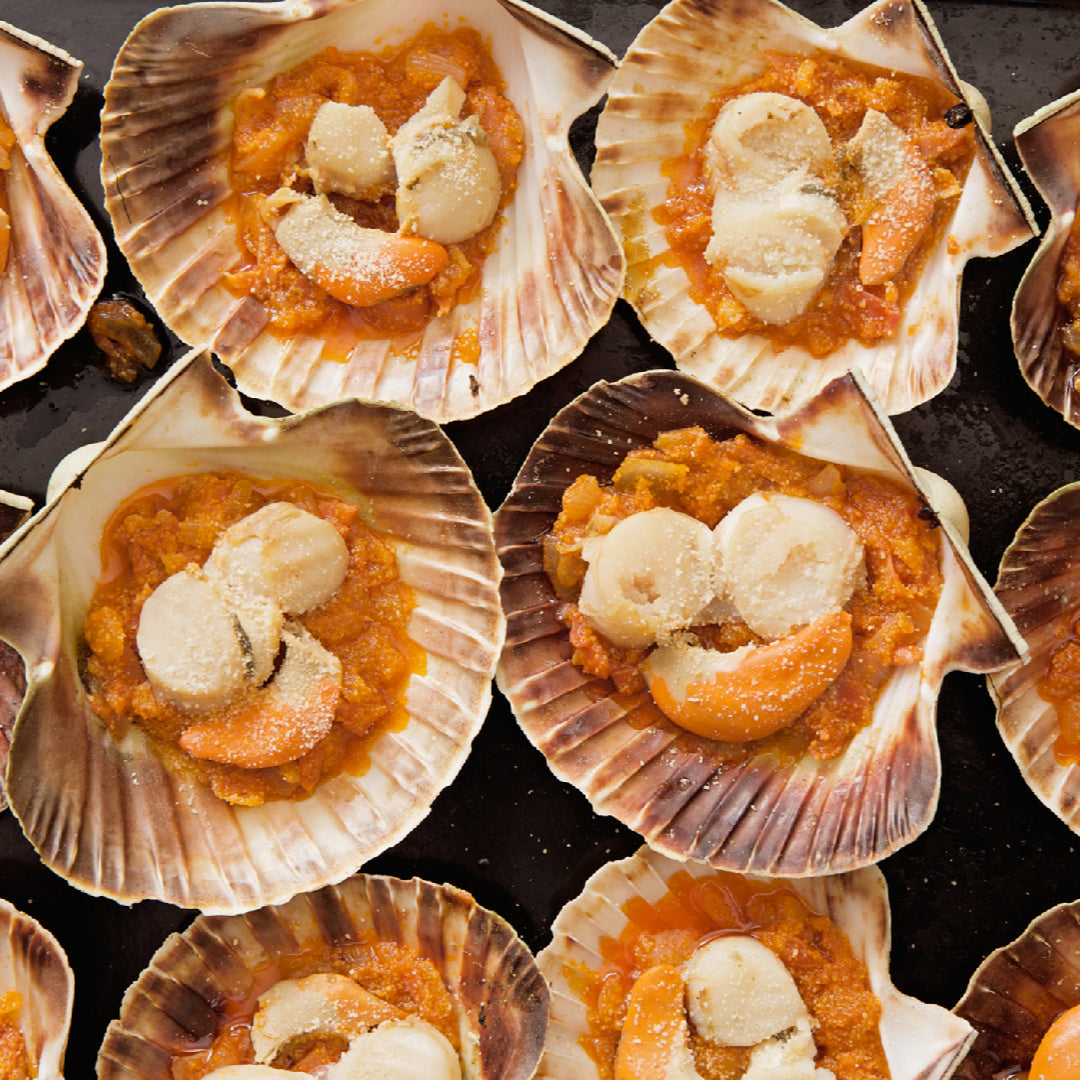Live scallops in their shells resting on a rocky ocean floor, illustrating sustainable seafood harvesting and marine ecosystem health