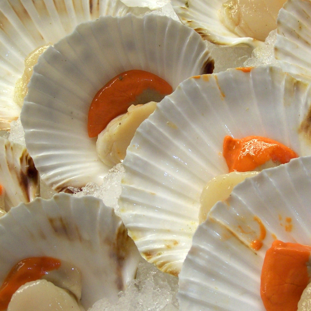 Four scallop sauce pairings displayed in small bowls alongside seared scallops: garlic lemon butter, white wine cream, miso ginger, and Sriracha honey glaze