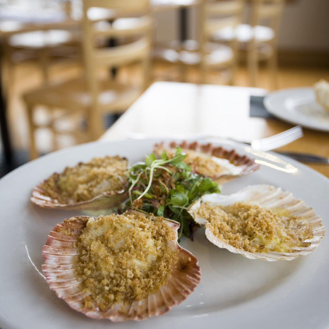 Where to Buy the Freshest Live Scallops Near You - Global Seafoods North America