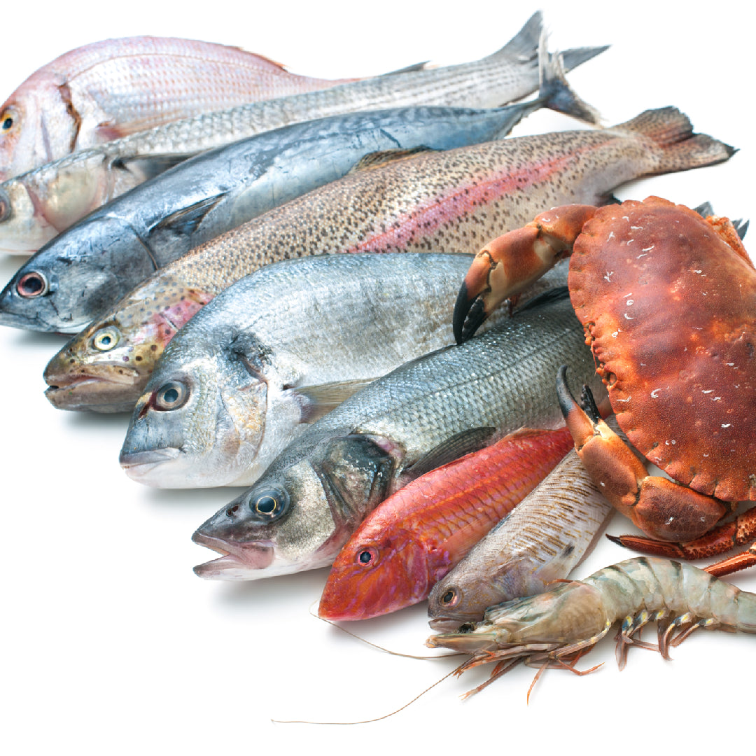 The Power of Seafood for Athletes: Why it Should be on Every Athlete's Plate
