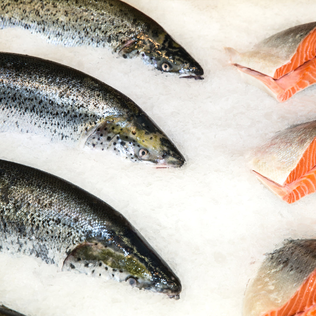 The Nutritional Value of Silver Salmon: What You Need to Know