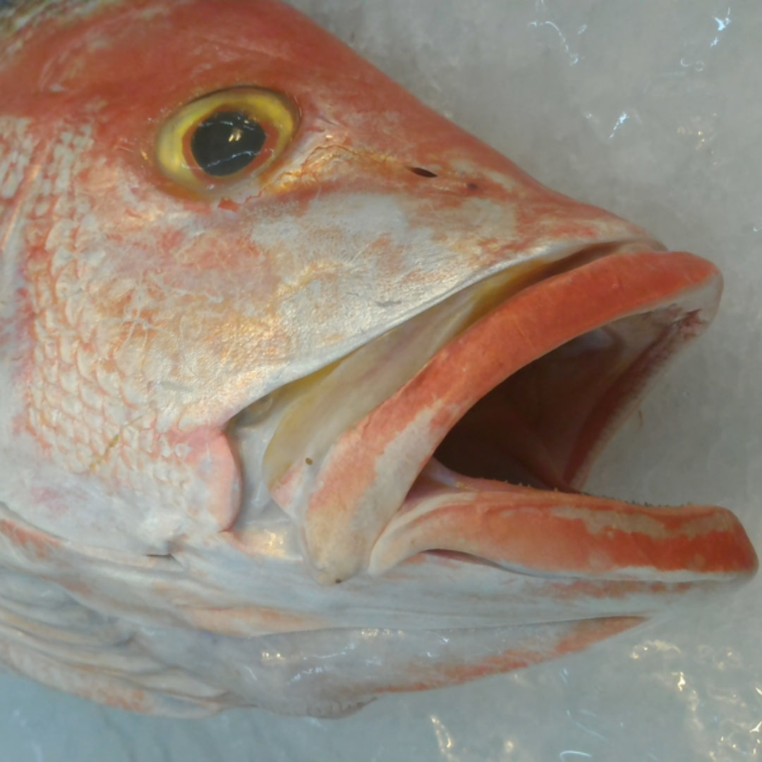 Whole roasted Yellowtail Snapper garnished with lemon and fresh herbs on a serving platter