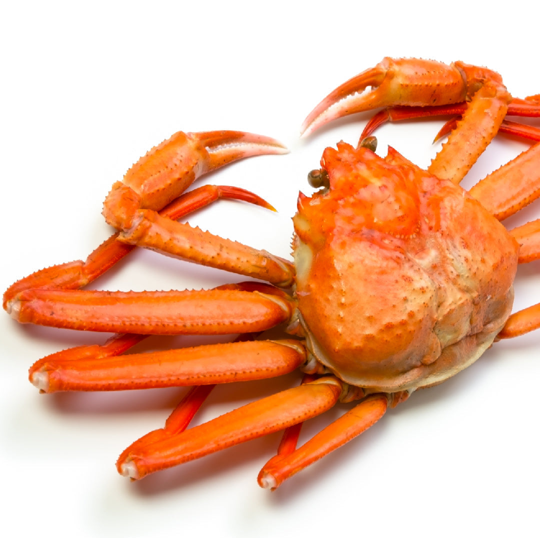 Side-by-side comparison of snow crab legs and king crab legs on a seafood platter with lemon wedges and melted butter dipping sauce
