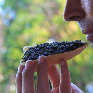Osetra Caviar Trivia: 10 Fun Facts About the King of Caviar