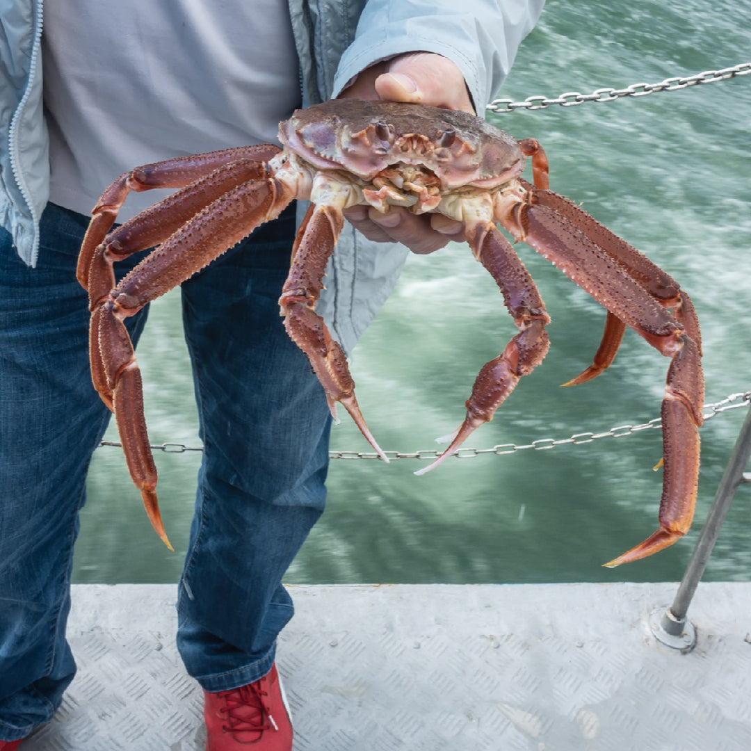 Snow crab legs served with white wine — seafood wine pairing guide
