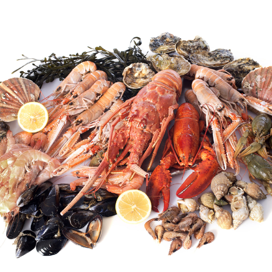 Glass of white wine alongside a platter of fresh oysters, shrimp, and salmon for a seafood wine pairing