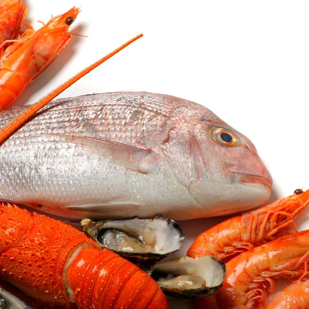 Gourmet seafood gift spread featuring King Crab legs, caviar, oysters, and premium fish fillets