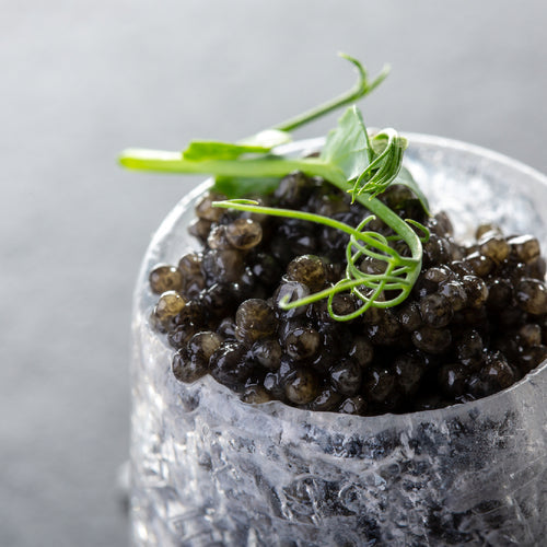 Side-by-side comparison of sturgeon caviar and salmon roe served in elegant dishes