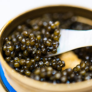 Sturgeon Beluga Caviar