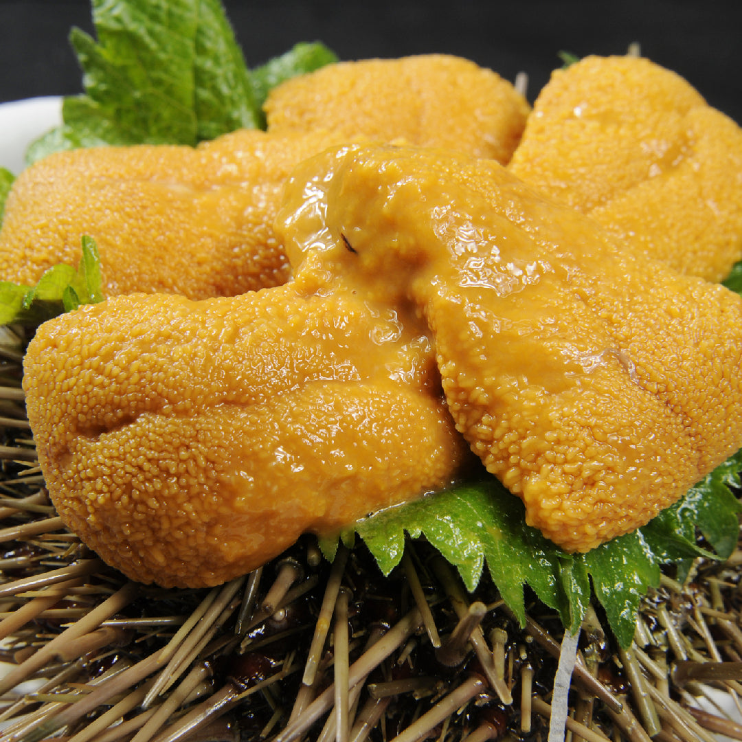Chef presenting fresh golden uni sea urchin nigiri sushi on a traditional Japanese plate