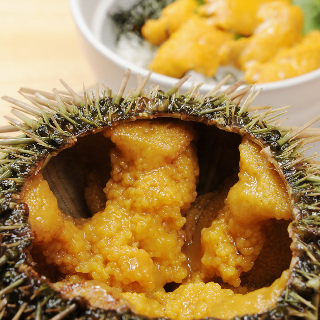 Uni nigiri sushi with bright orange sea urchin roe on sushi rice served on a wooden board at a Seattle sushi restaurant